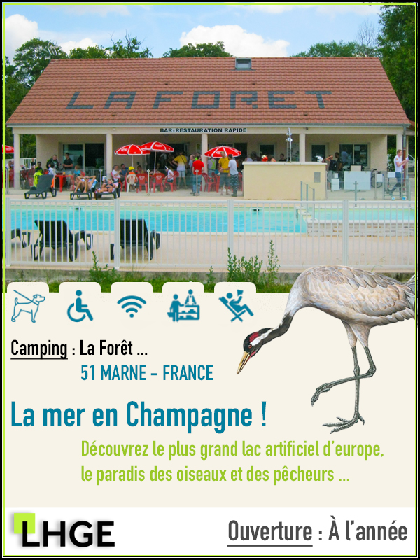 Camping-la-Foret